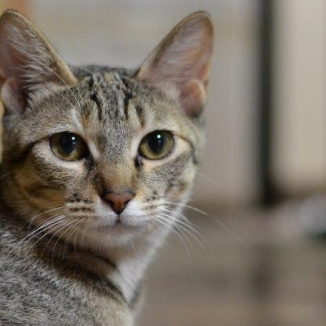 わこ(わーこ)のタイムライン643052-05-22 15:19:06投稿画像