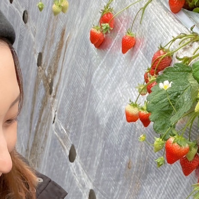 せりなのタイムライン643052-06-27 02:40:19投稿画像