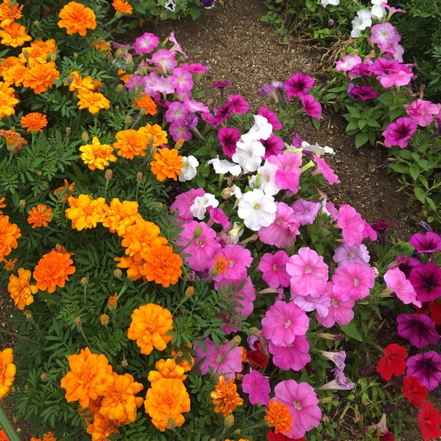 みぃのタイムライン643052-12-29 06:36:49投稿画像