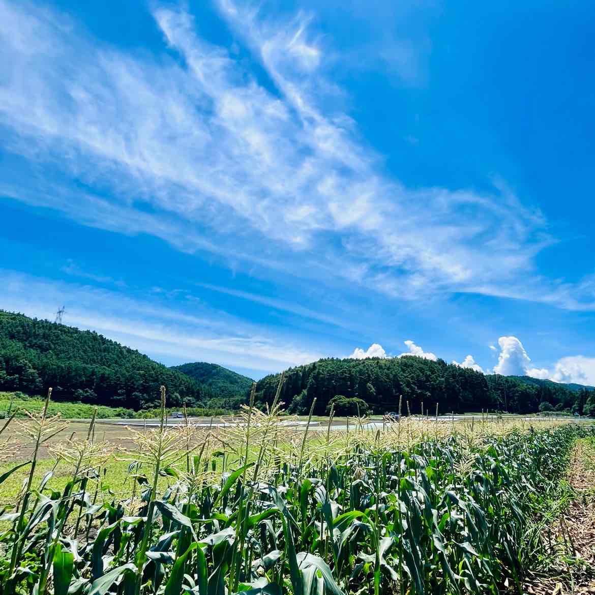 もか☆のタイムライン643058-08-07 11:33:46投稿画像