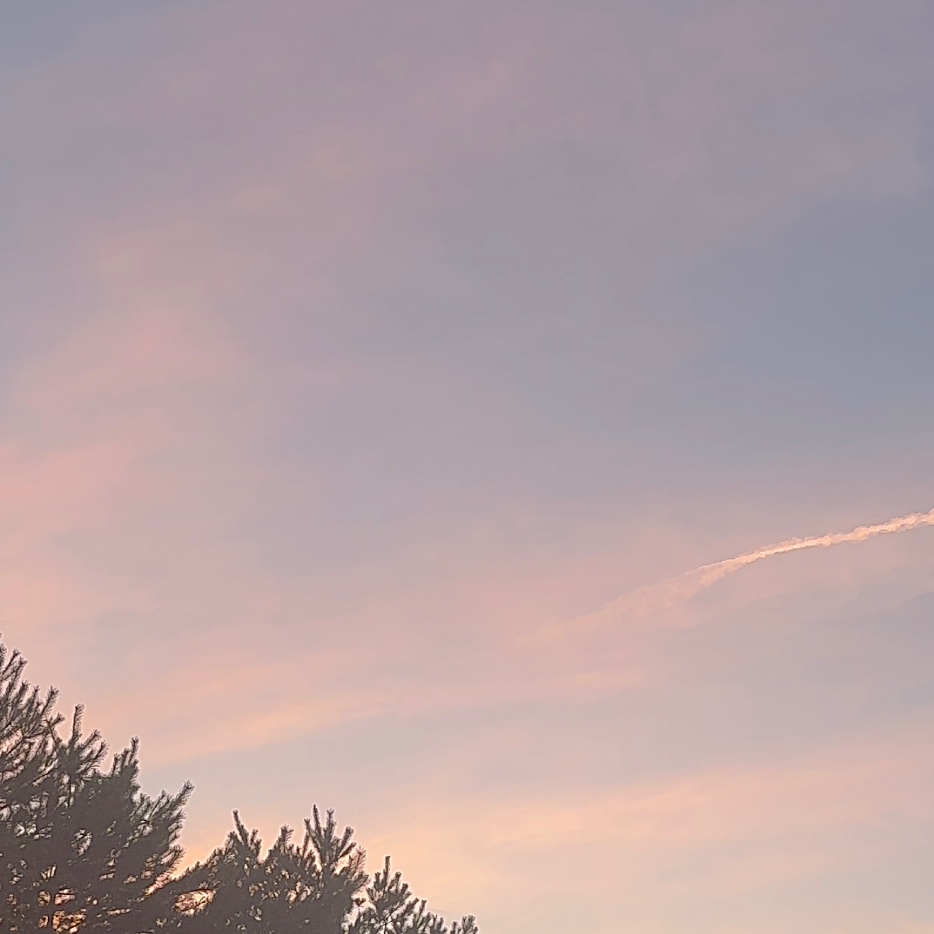 ゆたのタイムライン643059-06-16 02:10:15投稿画像