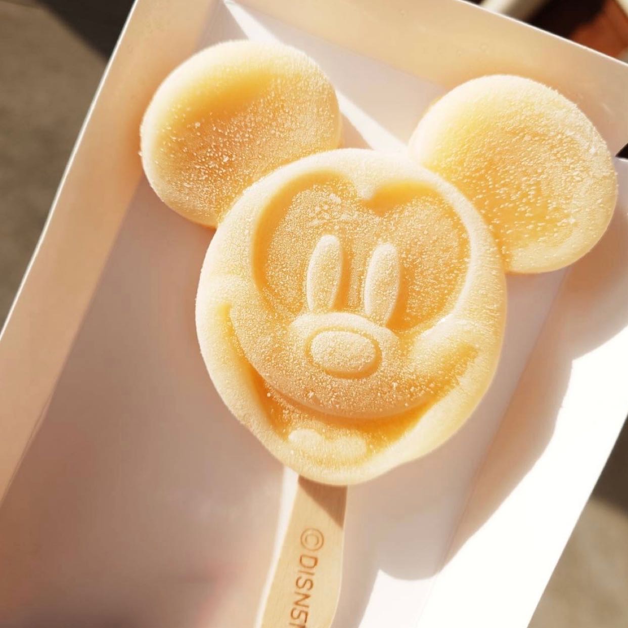 まみのタイムライン2023-08-29 20:49:27投稿画像