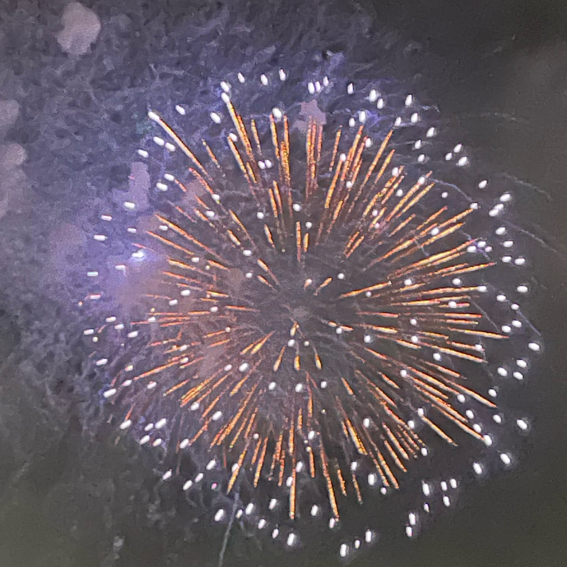 レモンのタイムライン643059-07-08 07:06:57投稿画像