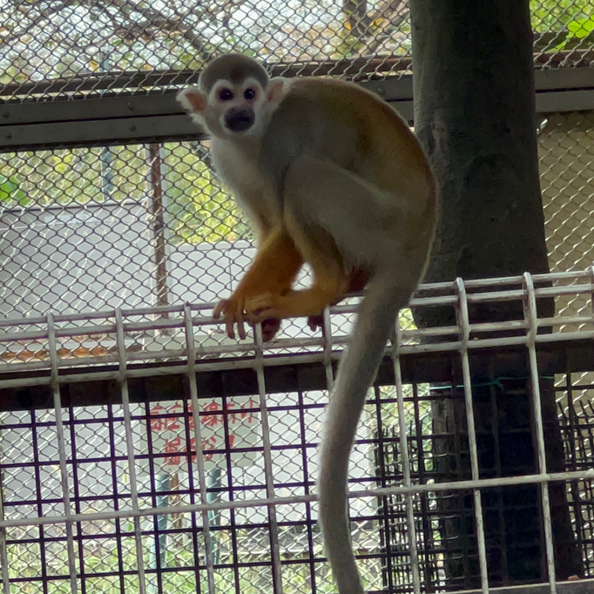 ゆらのタイムライン643062-04-11 22:05:50投稿画像