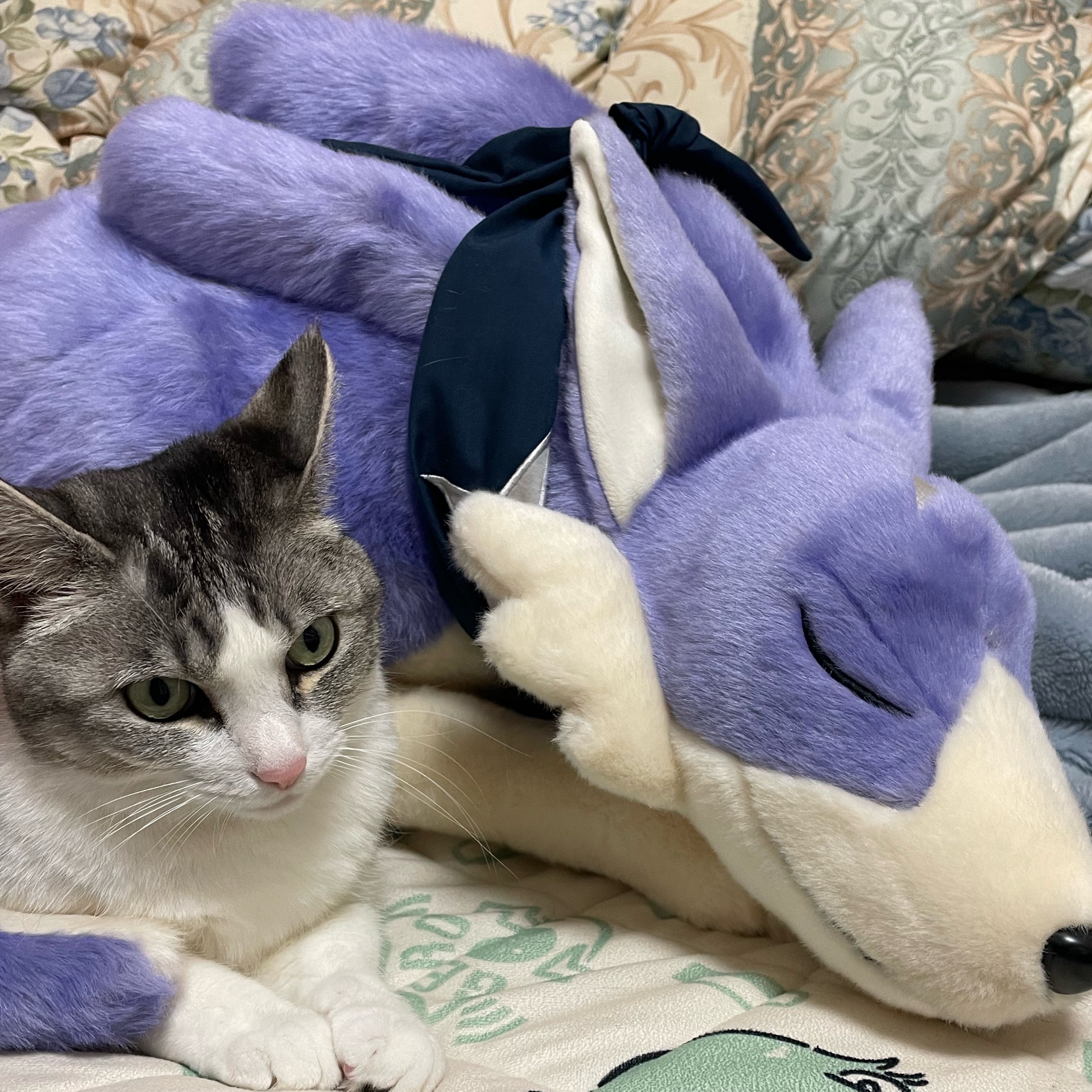 お豆腐さんのタイムライン643062-08-16 22:57:32投稿画像