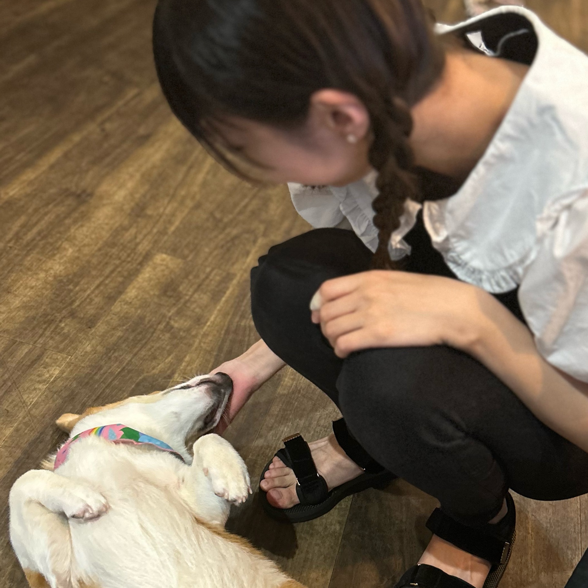 ろかのタイムライン643062-08-17 00:14:12投稿画像