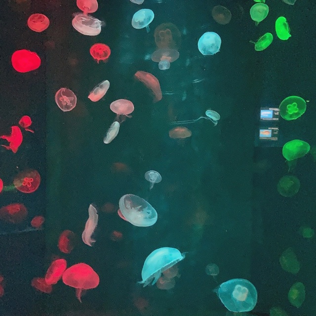 あやのタイムライン643064-12-07 23:45:27投稿画像