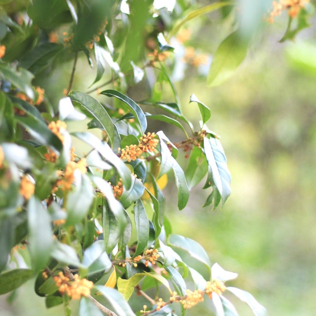 友理のタイムライン643065-05-31 19:48:58投稿画像