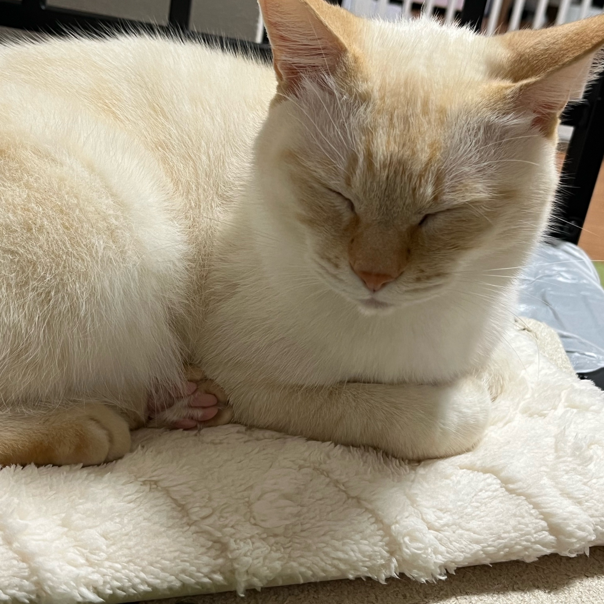 はなのタイムライン643065-08-08 16:22:12投稿画像