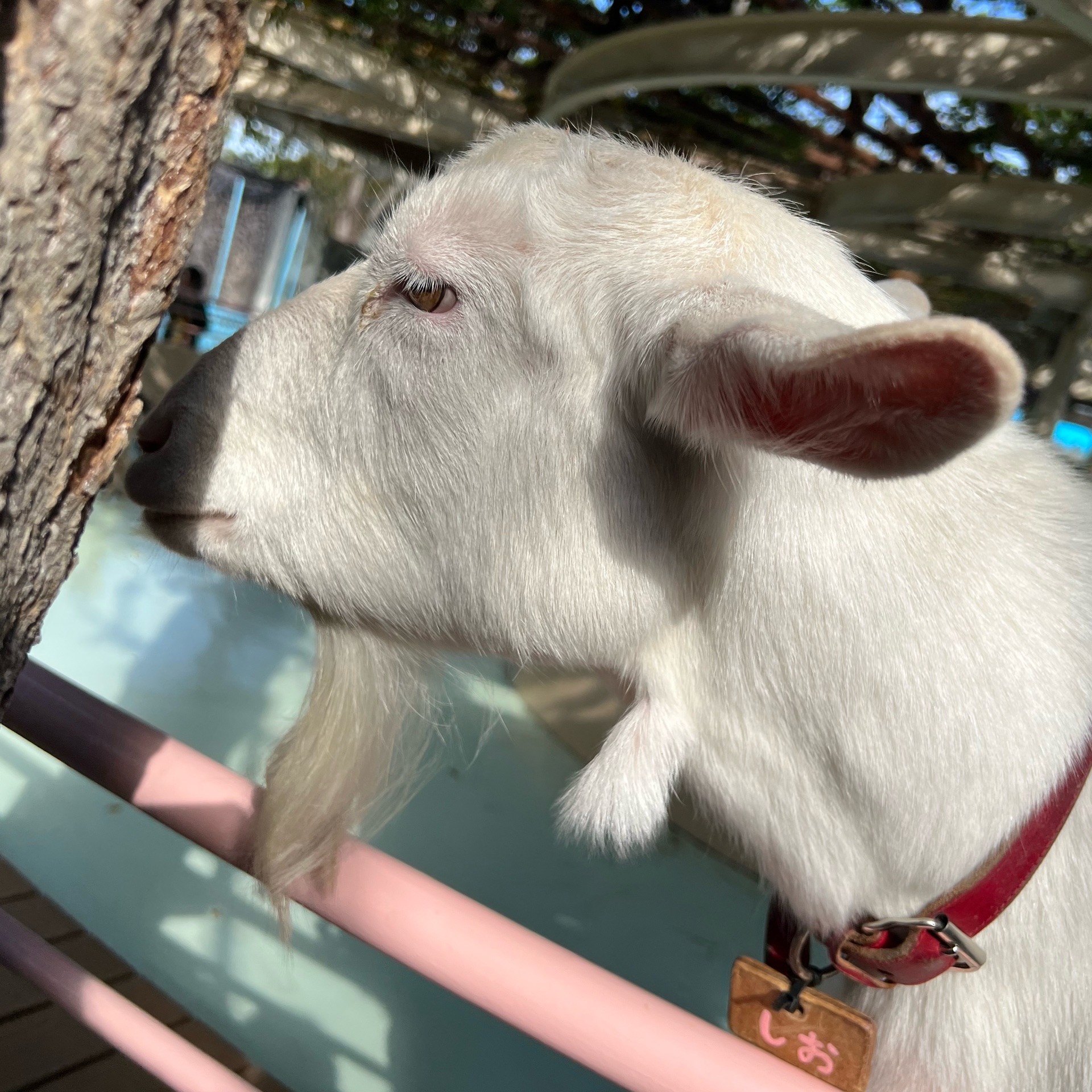 ちーちゃんのタイムライン643065-09-12 18:20:51投稿画像