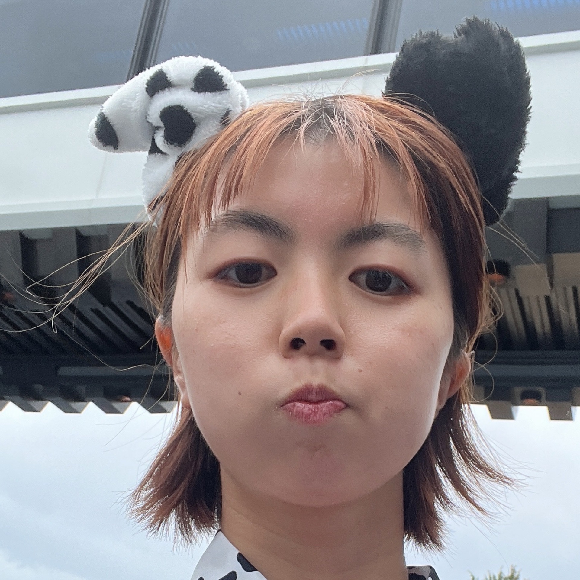 ちーちゃんのタイムライン643065-11-08 22:08:38投稿画像