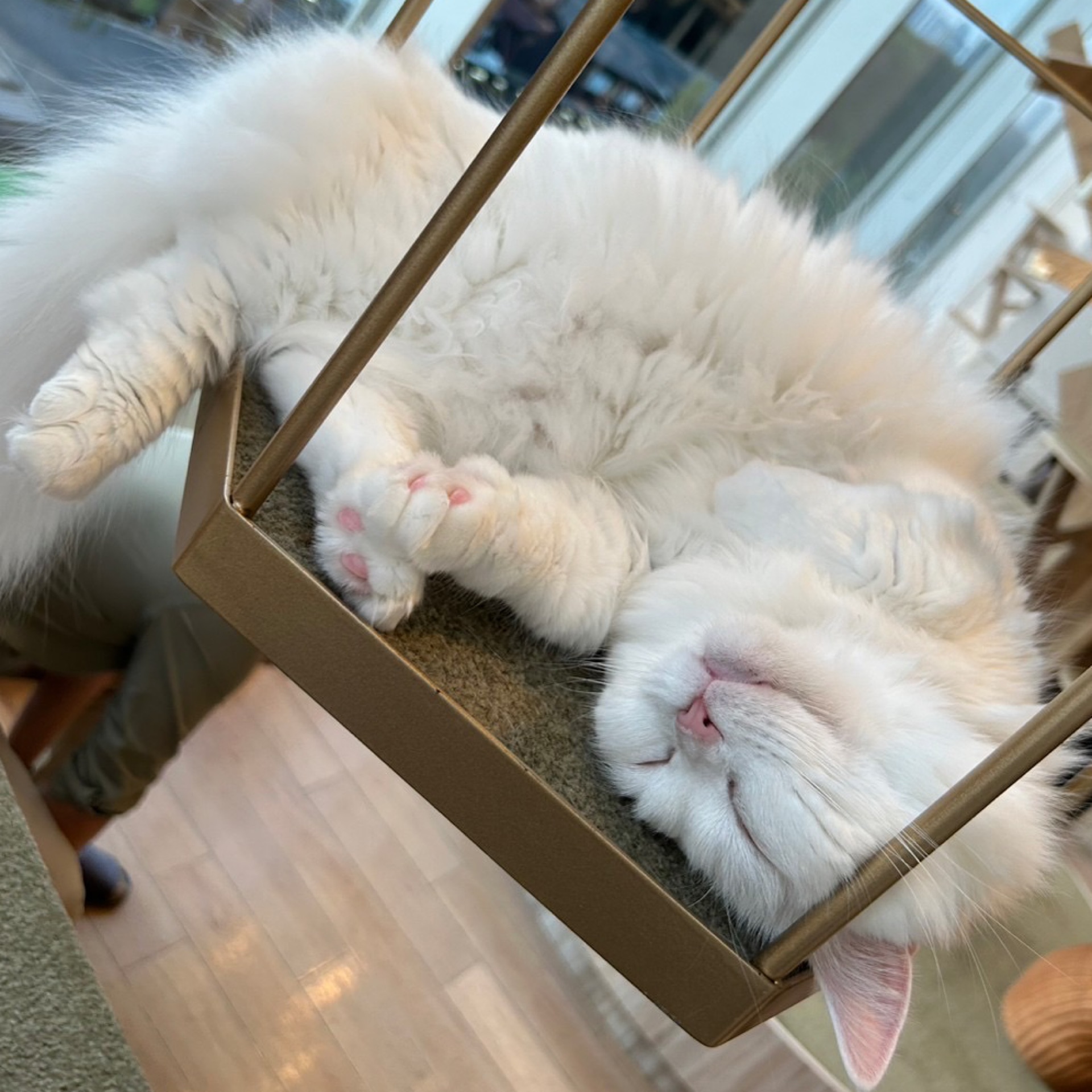 うるのタイムライン643068-06-14 15:50:12投稿画像