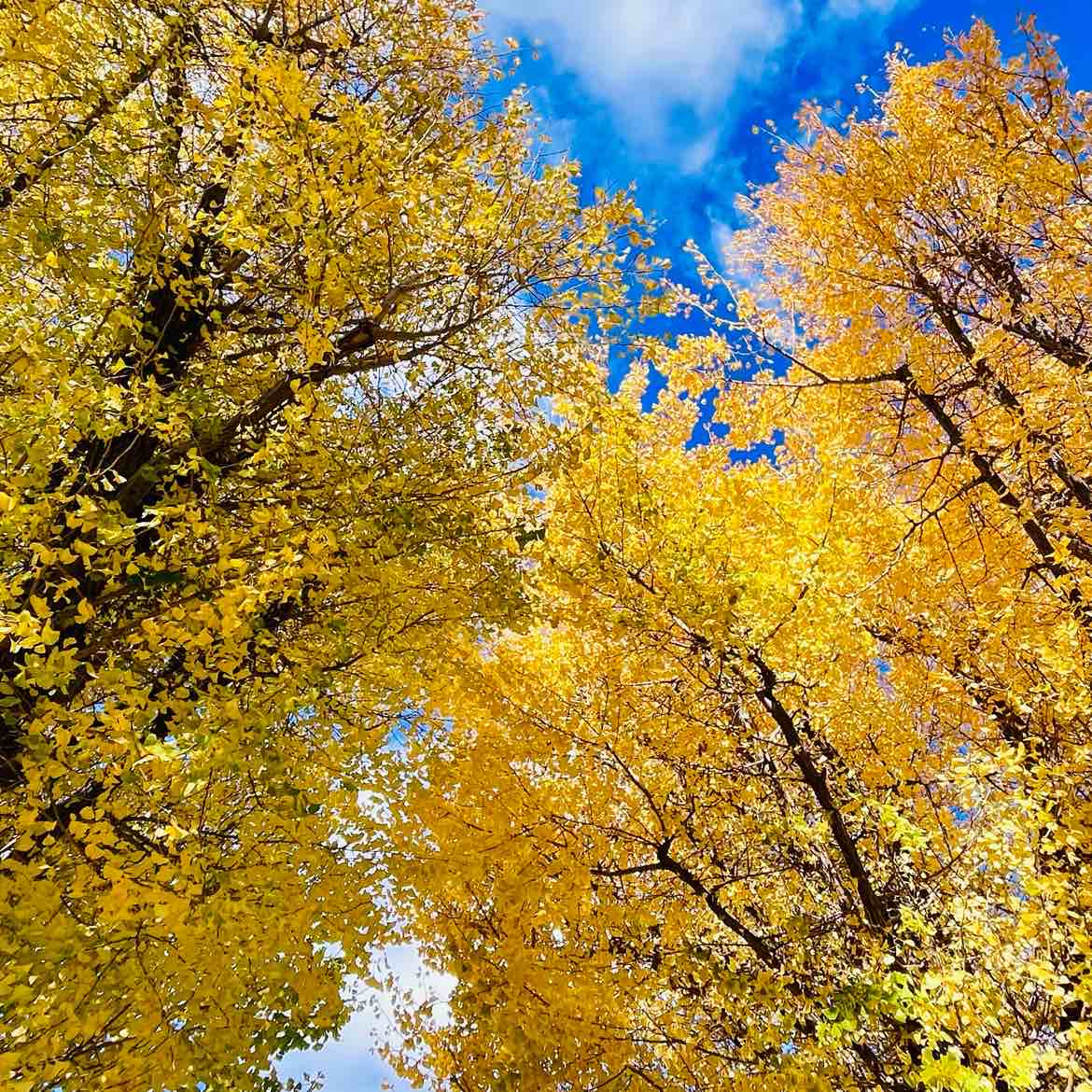 もか☆のタイムライン643068-06-26 00:25:13投稿画像