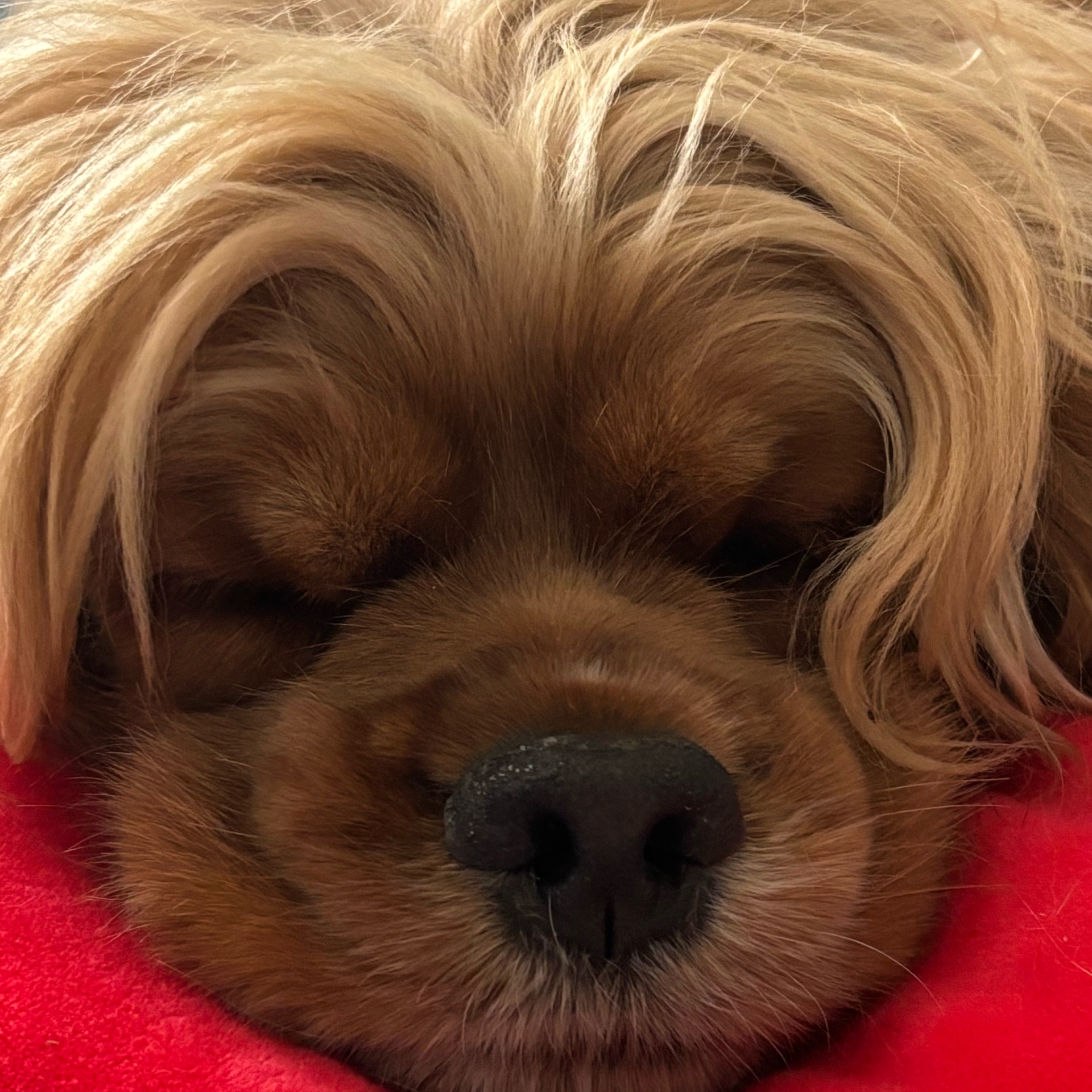 りぃのタイムライン643071-06-18 20:29:02投稿画像