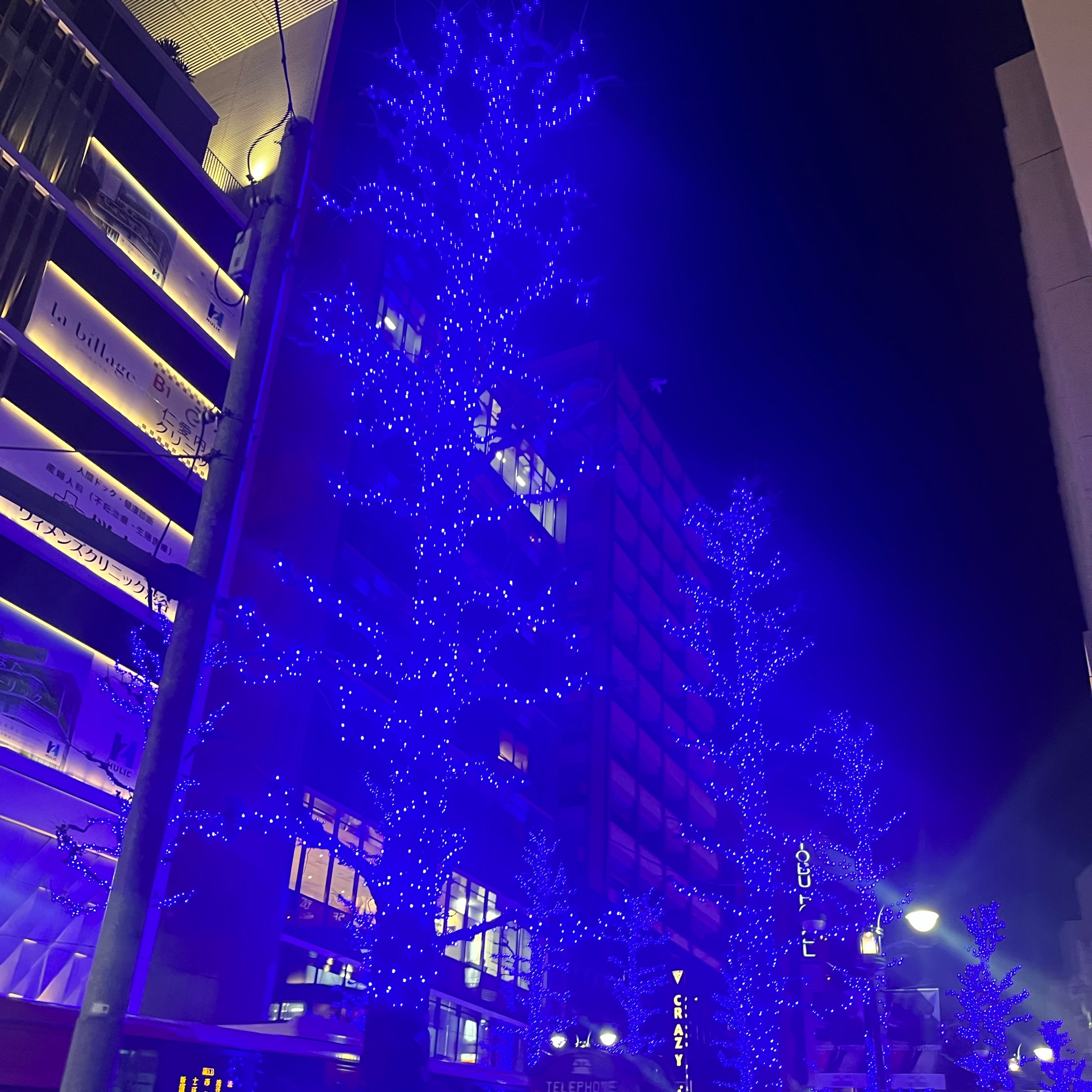 RENAのタイムライン643353-05-26 02:05:40投稿画像