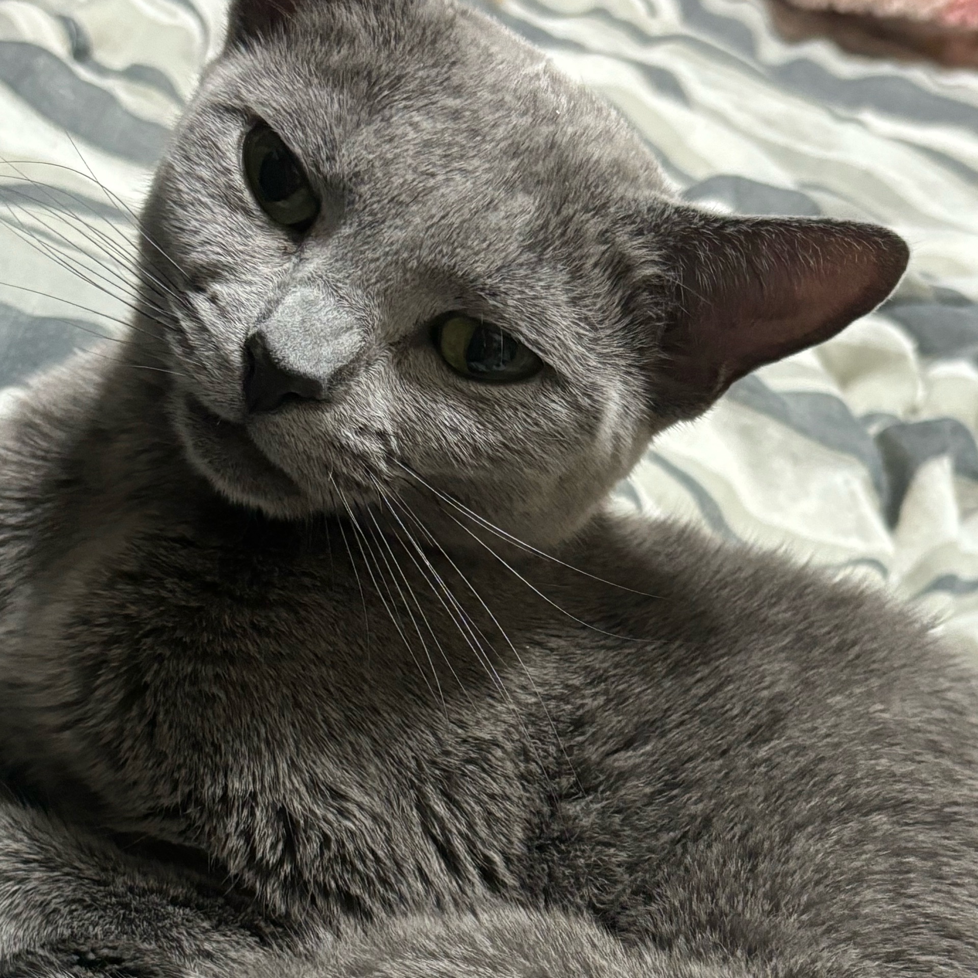 りぃのタイムライン643354-02-28 08:07:34投稿画像