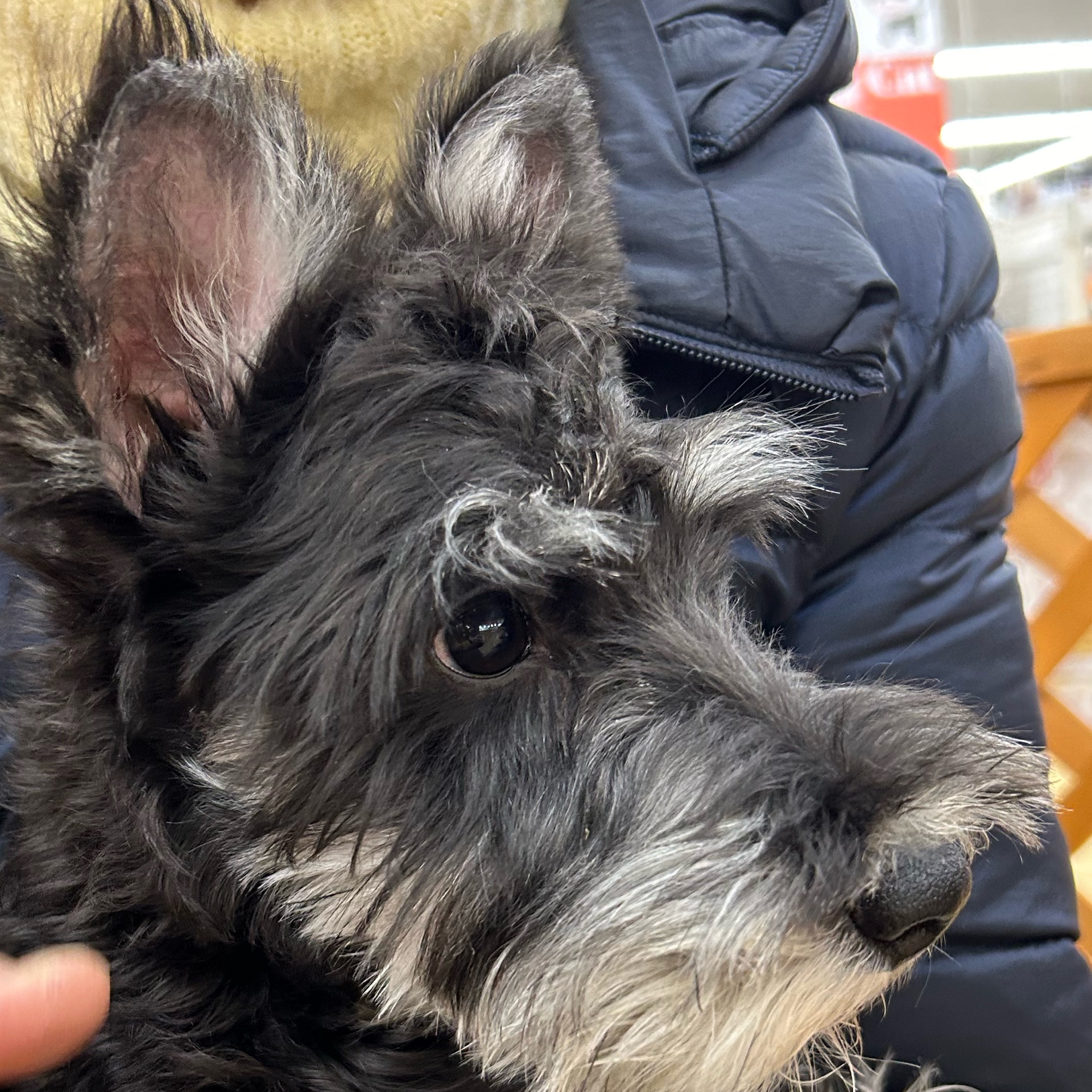 ほしののタイムライン643357-03-14 21:23:48投稿画像