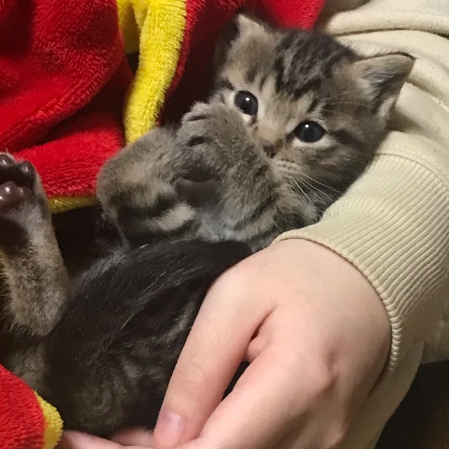 巳穂(みほ)のタイムライン643360-07-12 11:15:42投稿画像