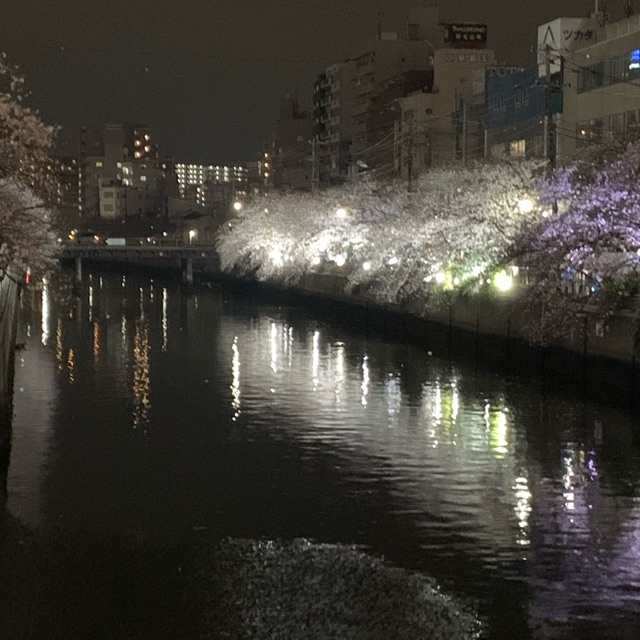 わこ(わーこ)のタイムライン2024-04-05 15:37:00投稿画像