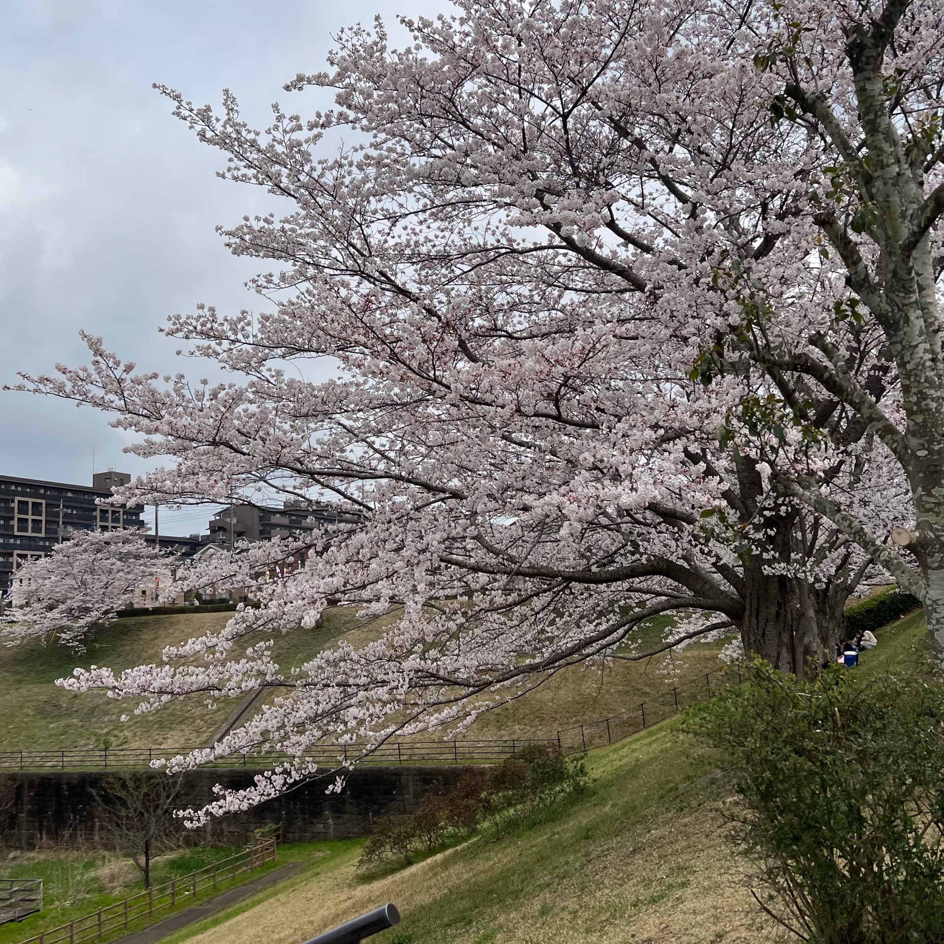 まかのタイムライン643362-12-20 20:01:49投稿画像