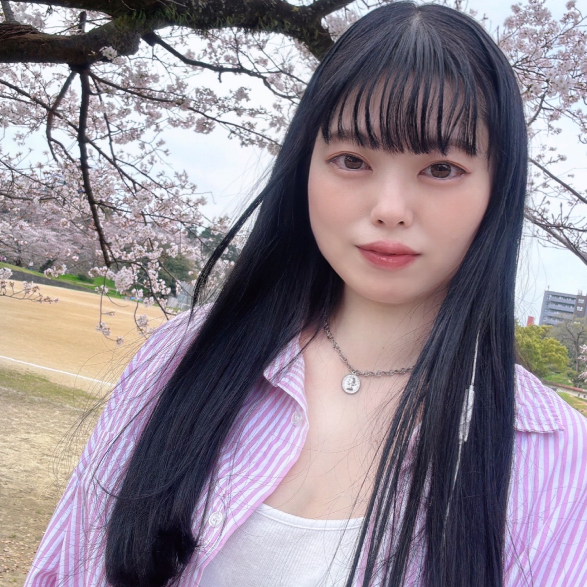 いろはのタイムライン643362-12-30 21:38:54投稿画像