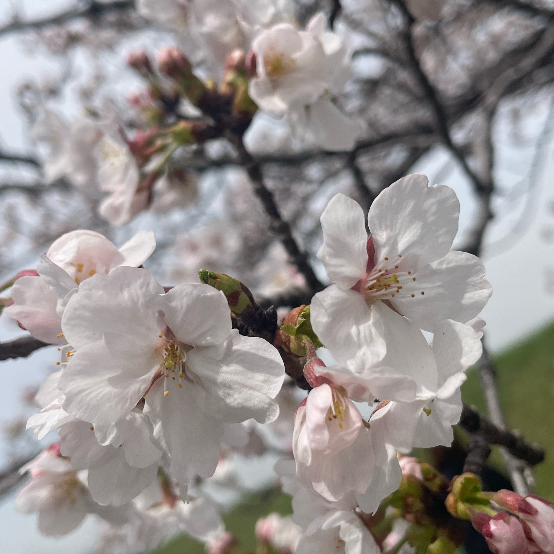 ゆいちゃんのタイムライン643363-01-12 19:53:47投稿画像