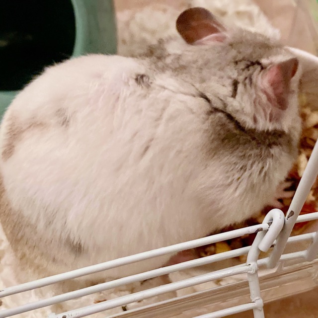 ゆずのタイムライン643363-07-15 15:00:05投稿画像