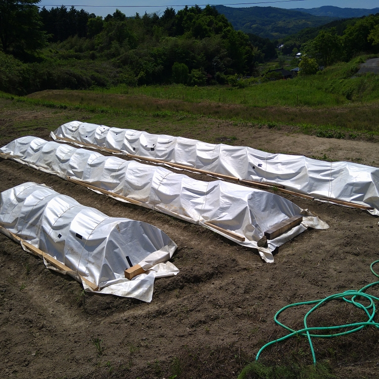 いこのタイムライン643366-06-26 12:34:02投稿画像