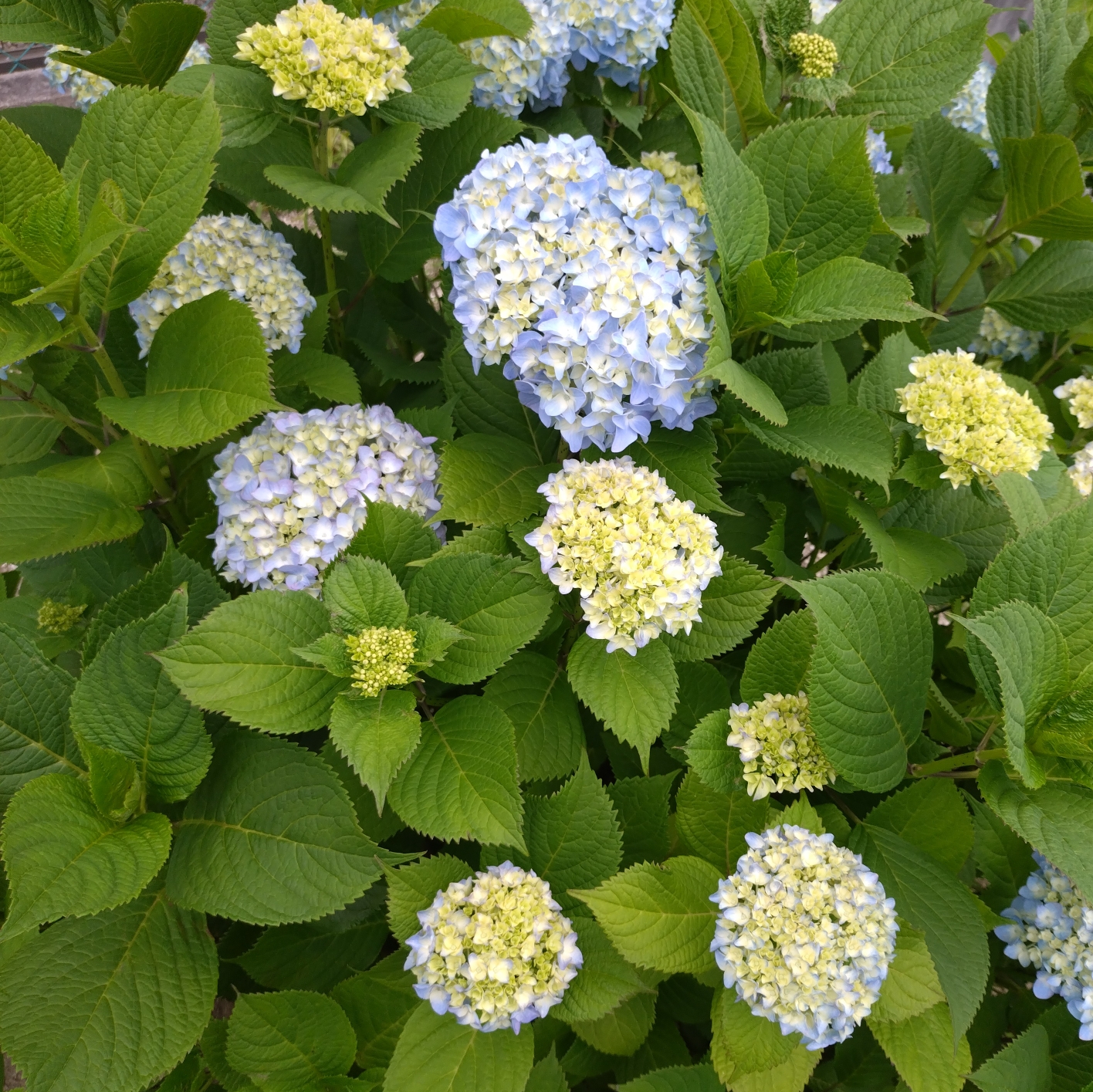 ゆりのタイムライン643366-06-28 13:59:07投稿画像