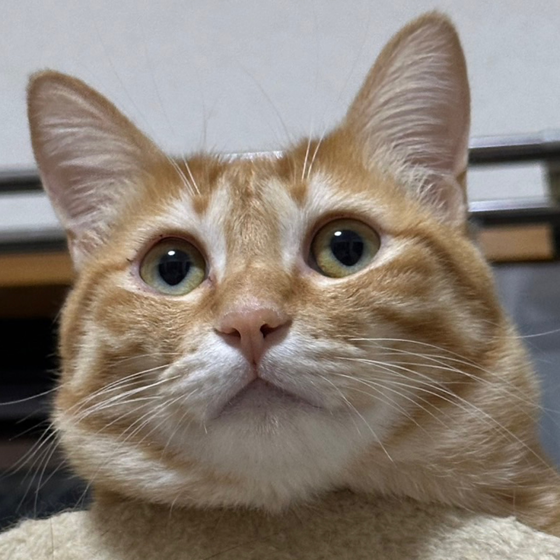 優希のタイムライン643366-07-31 21:40:16投稿画像