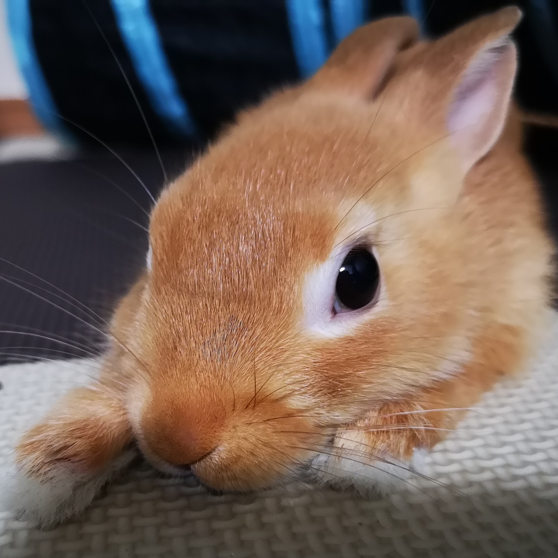 えみのタイムライン643366-09-26 14:38:23投稿画像