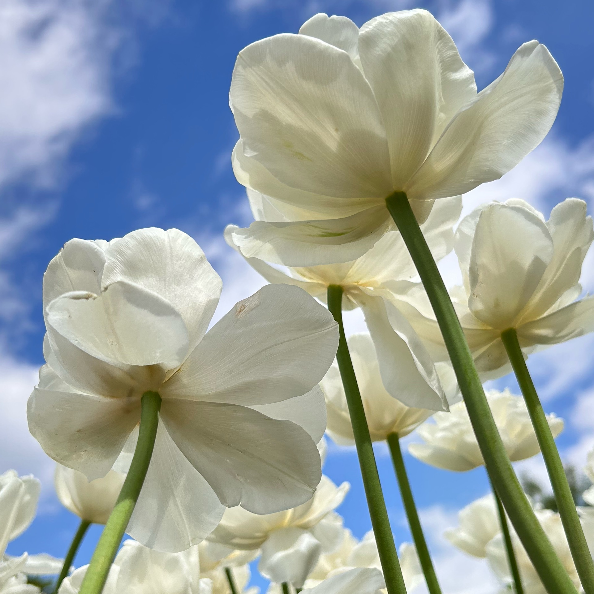 miのタイムライン643366-11-23 14:20:21投稿画像