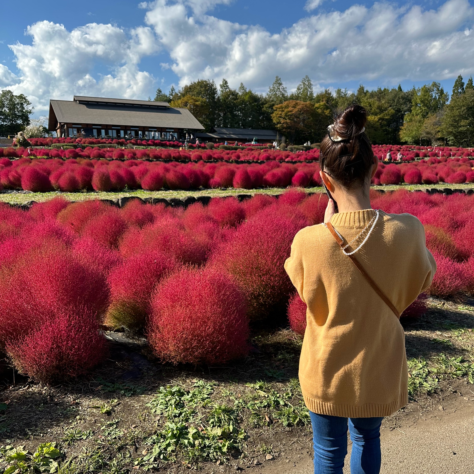 紗凪のタイムライン643369-02-11 23:41:51投稿画像