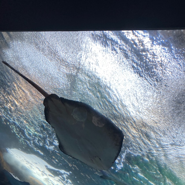 ゆずのタイムライン643369-04-09 21:02:18投稿画像