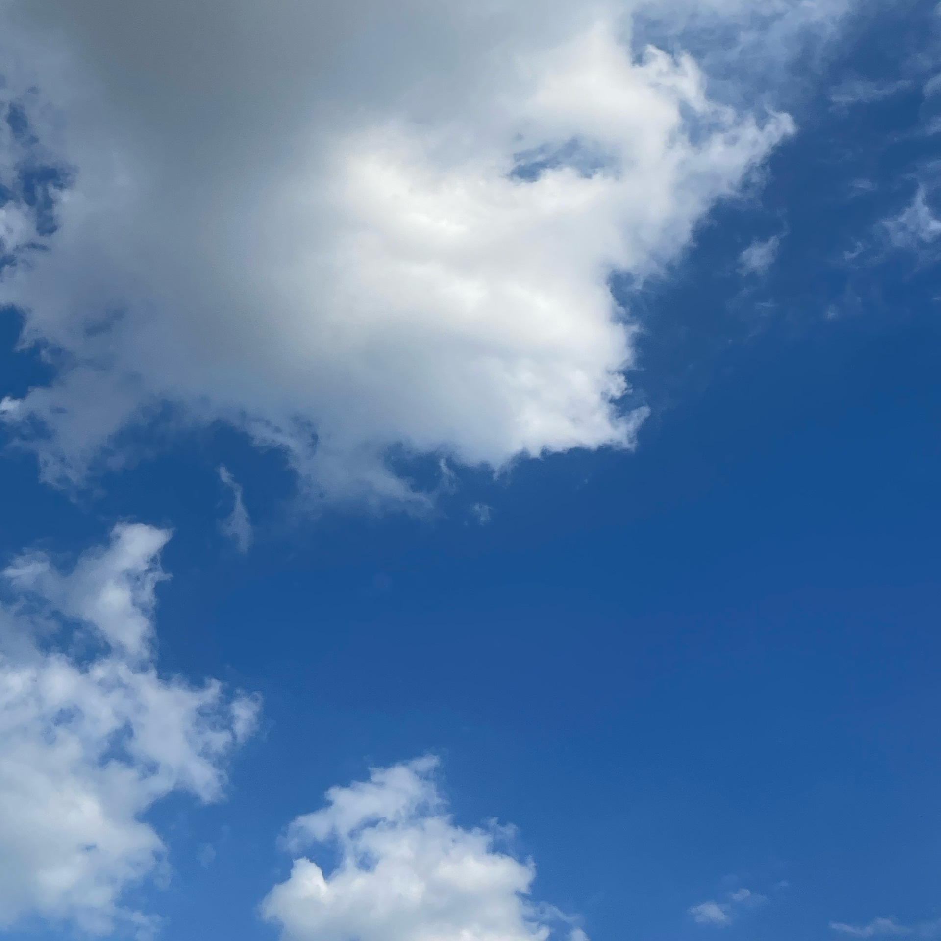 みぃのタイムライン643369-05-27 07:49:07投稿画像