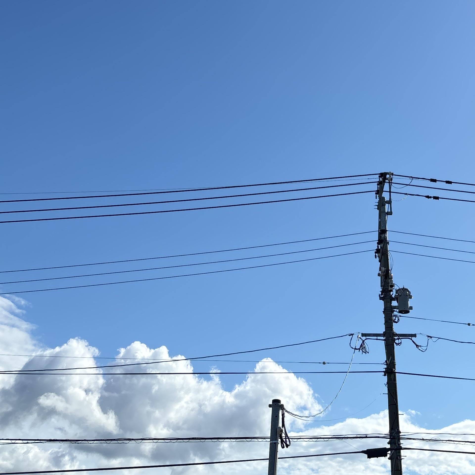 ららのタイムライン643369-07-11 22:57:36投稿画像