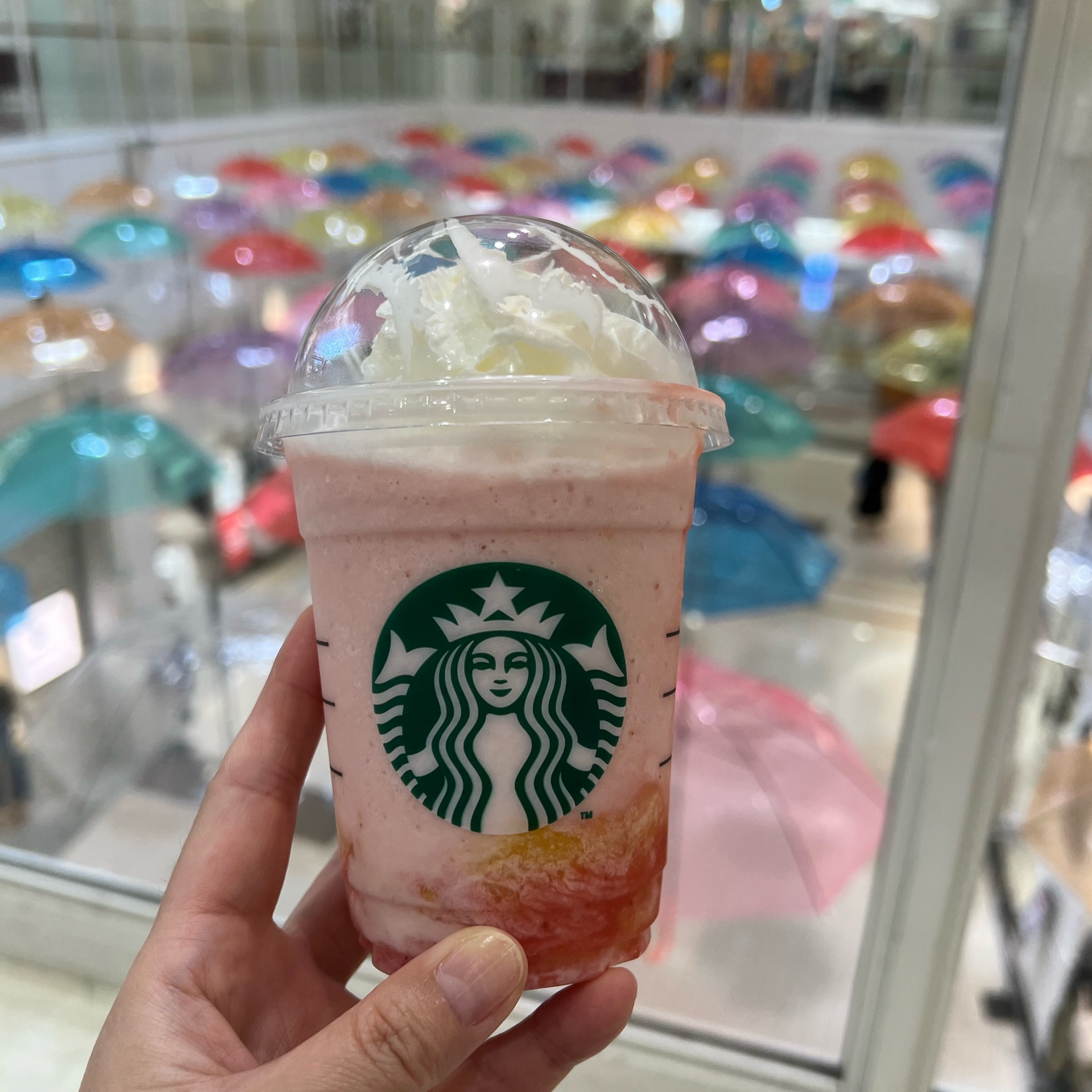 yukiのタイムライン2024-06-25 06:18:46投稿画像