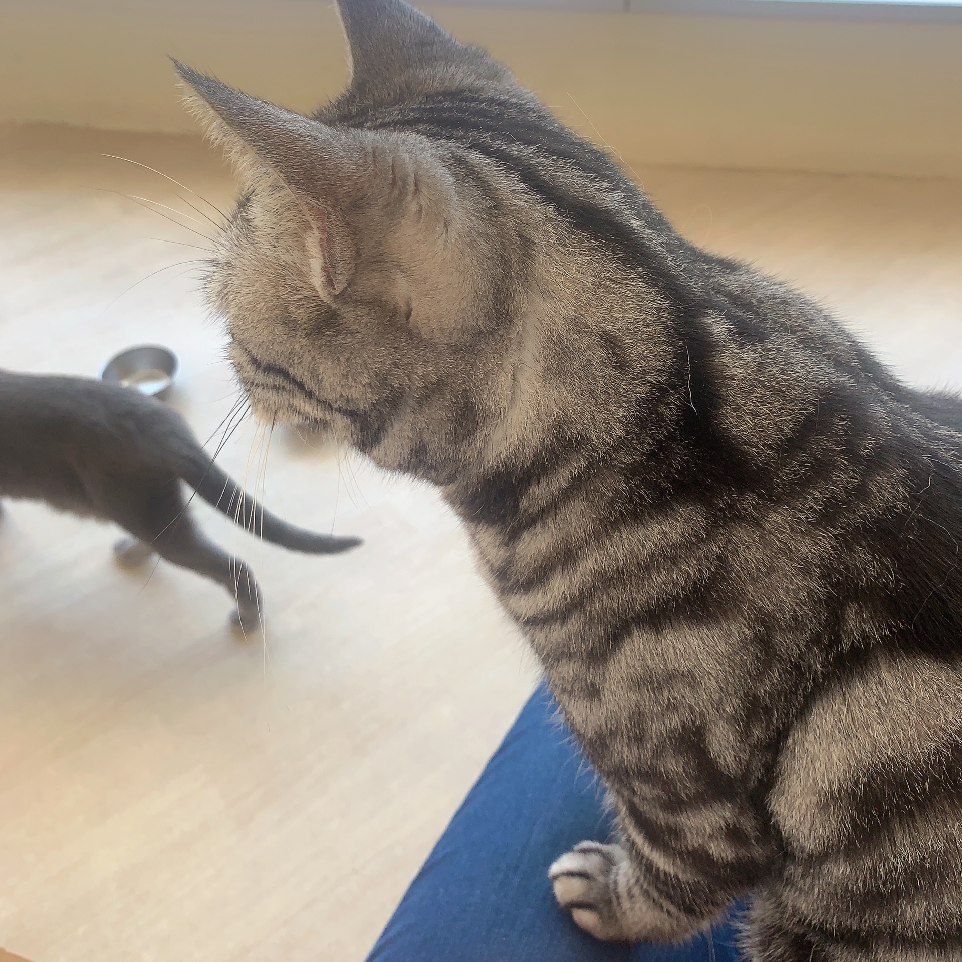 ひびきのタイムライン643369-11-27 14:45:35投稿画像