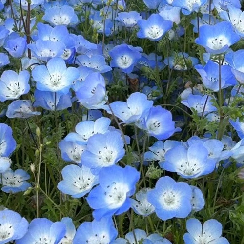 みあのタイムライン643369-12-09 16:25:27投稿画像