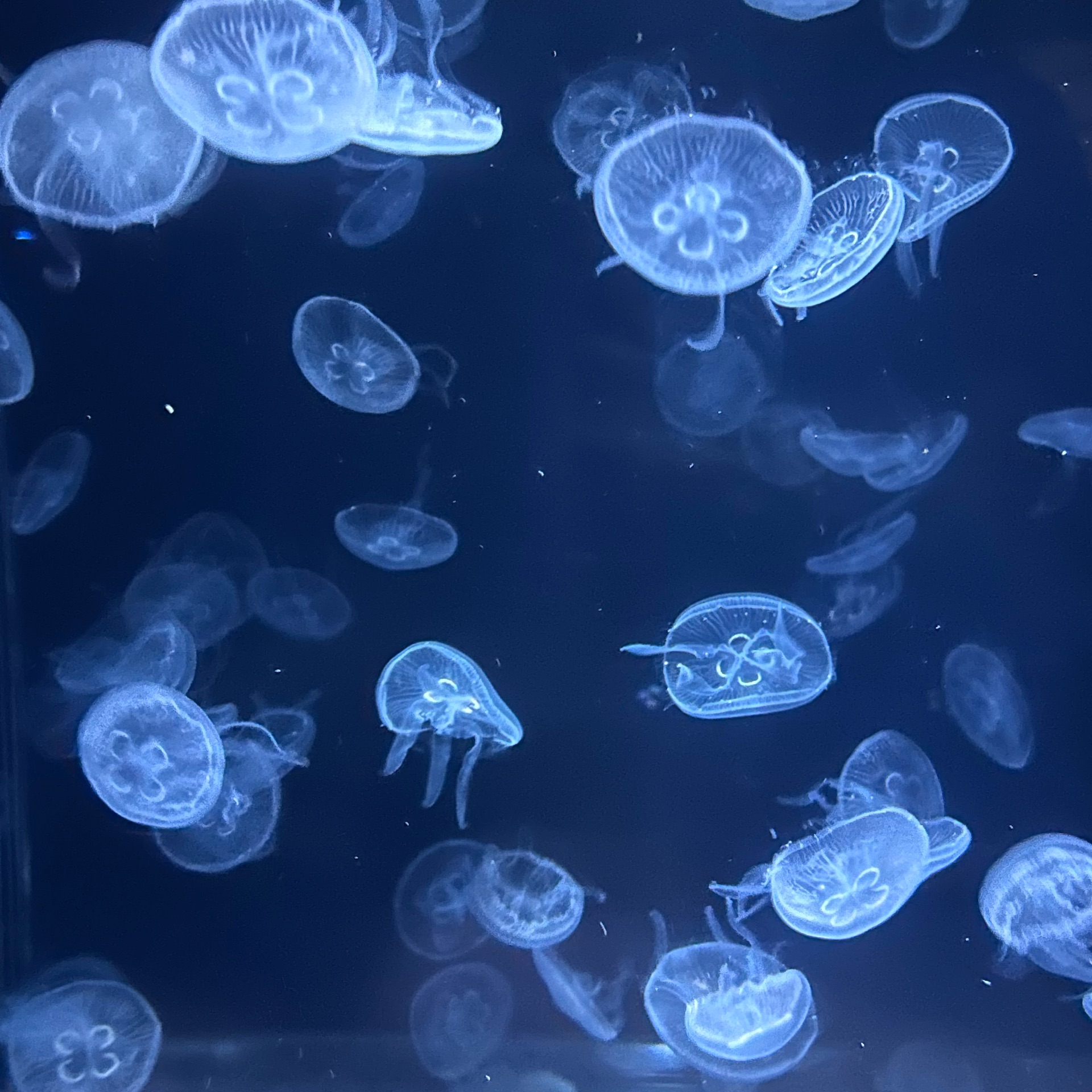 みくのタイムライン643372-06-11 14:45:05投稿画像