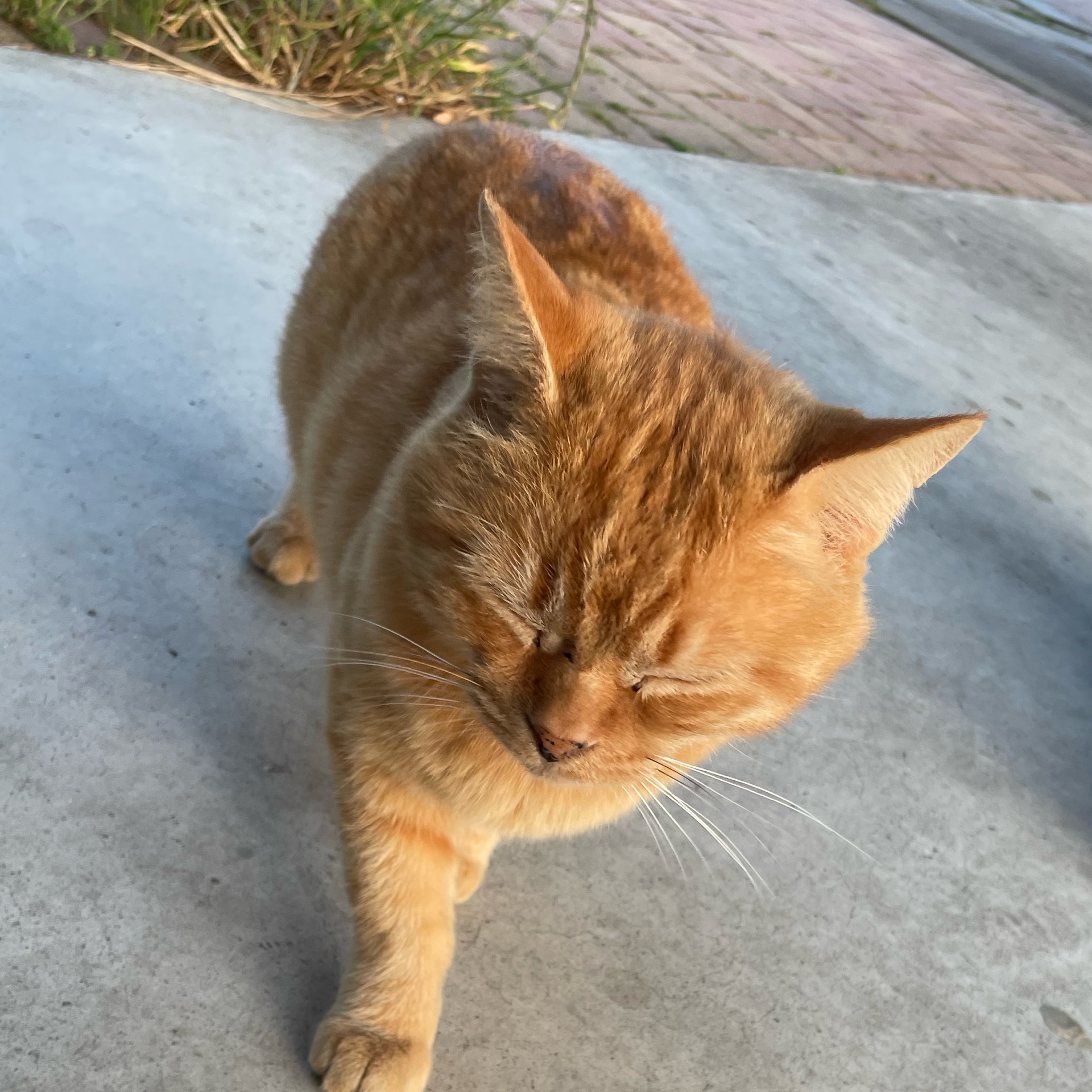 はるかのタイムライン643372-07-26 23:27:32投稿画像