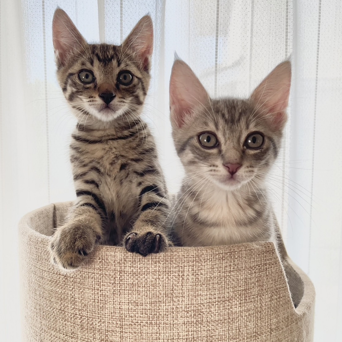 みおのタイムライン643372-12-01 00:57:22投稿画像