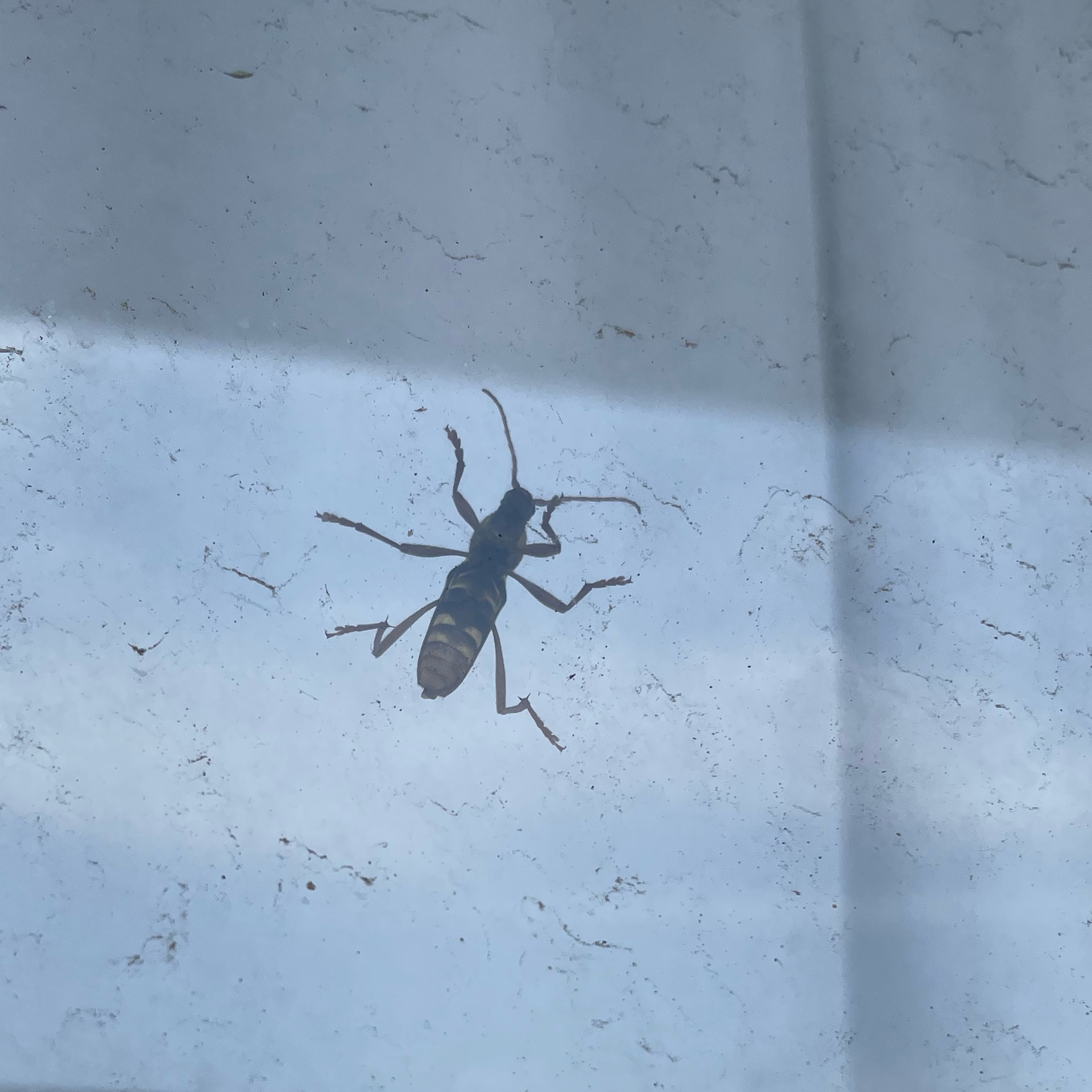 みぃのタイムライン2024-07-26 16:51:05投稿画像