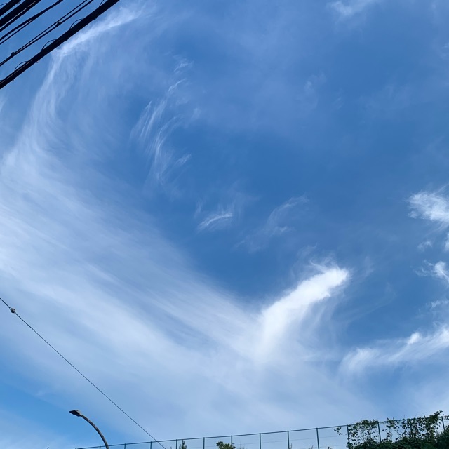 わこ(わーこ)のタイムライン643375-11-25 04:09:04投稿画像