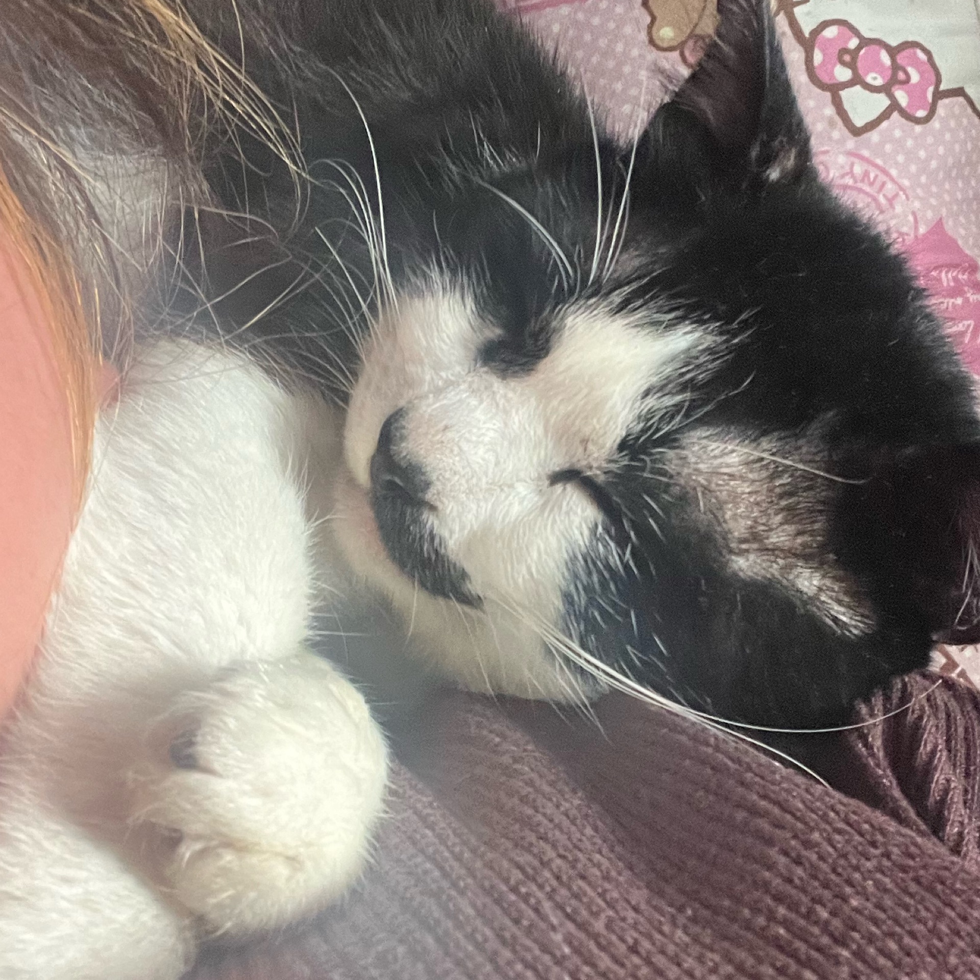 佳奈のタイムライン643376-01-21 19:13:37投稿画像