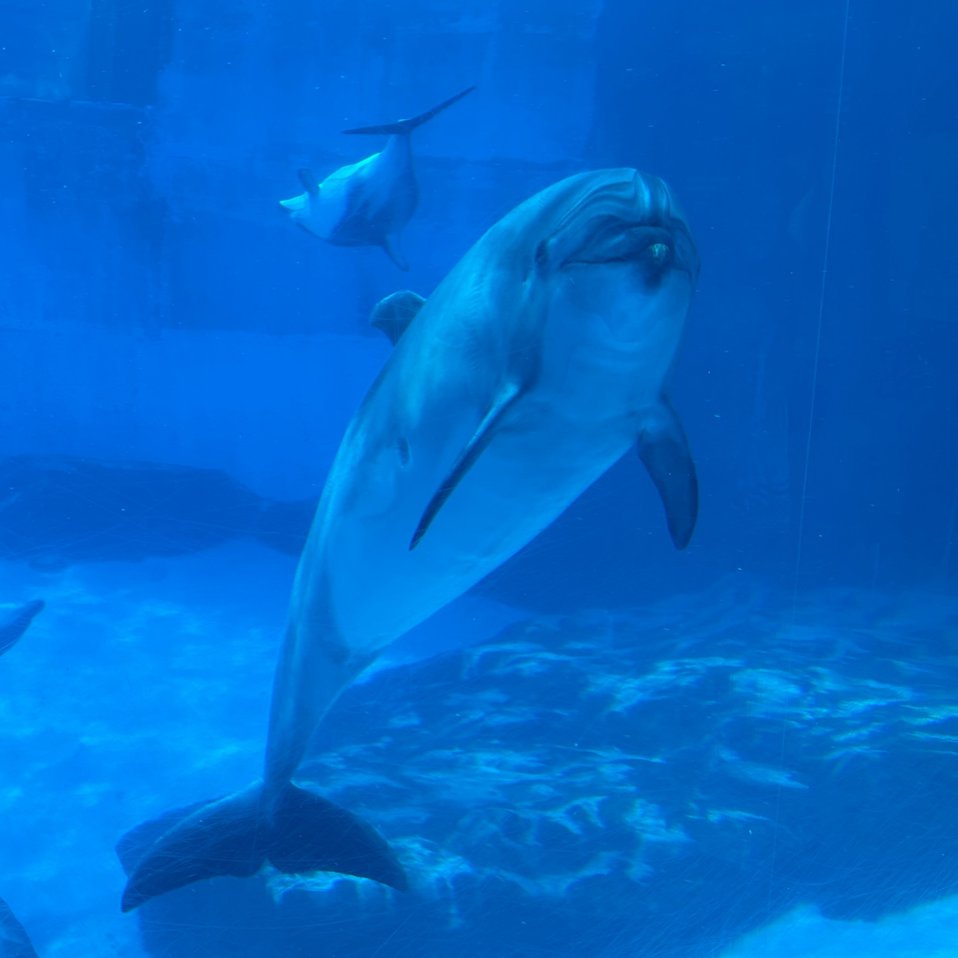 ゆめのタイムライン643376-03-18 18:08:27投稿画像