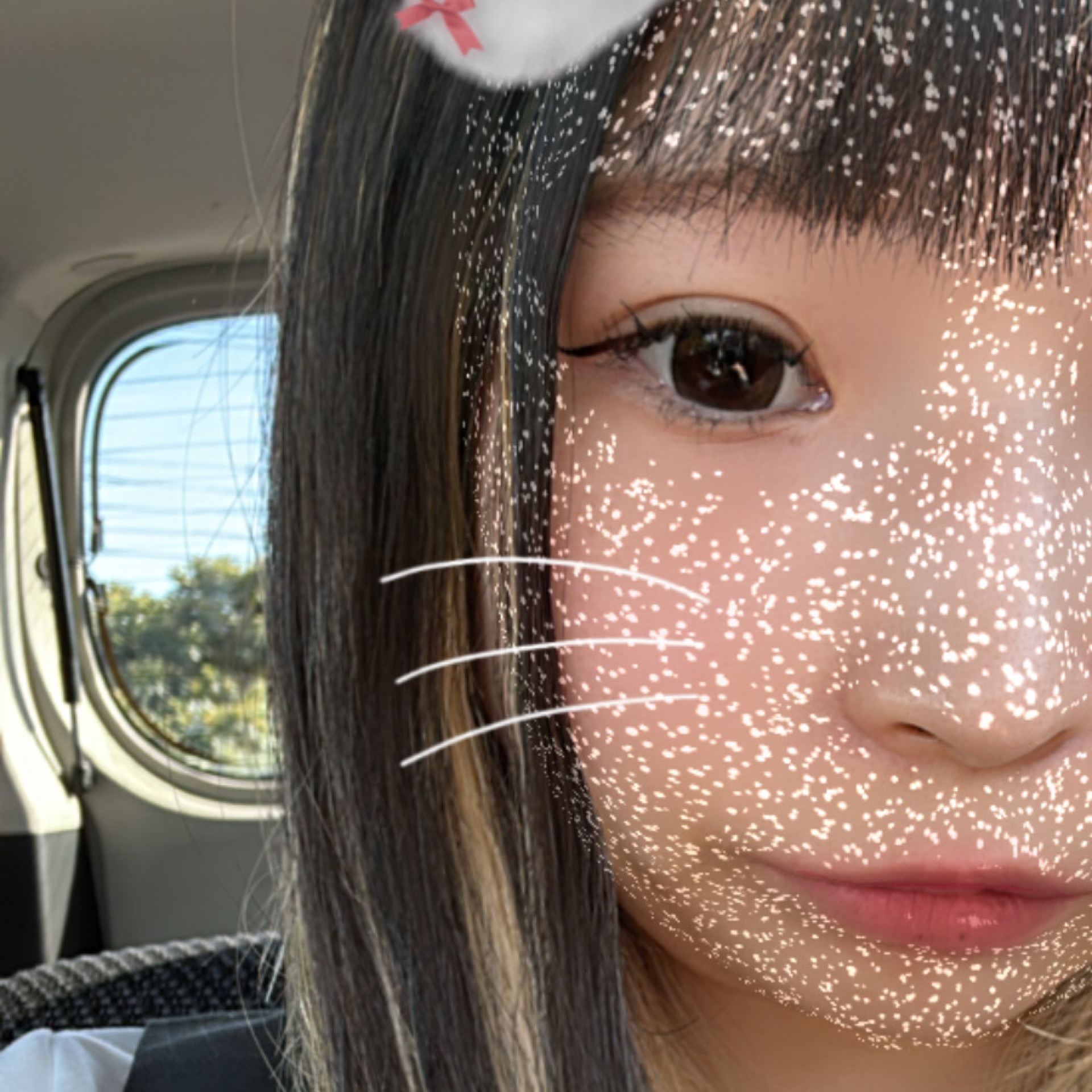 ゆめのタイムライン643376-03-20 21:50:05投稿画像