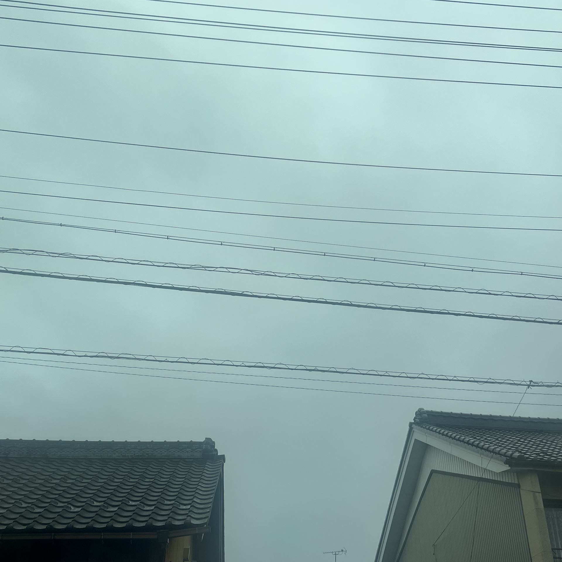 なきのタイムライン643376-05-29 06:19:19投稿画像