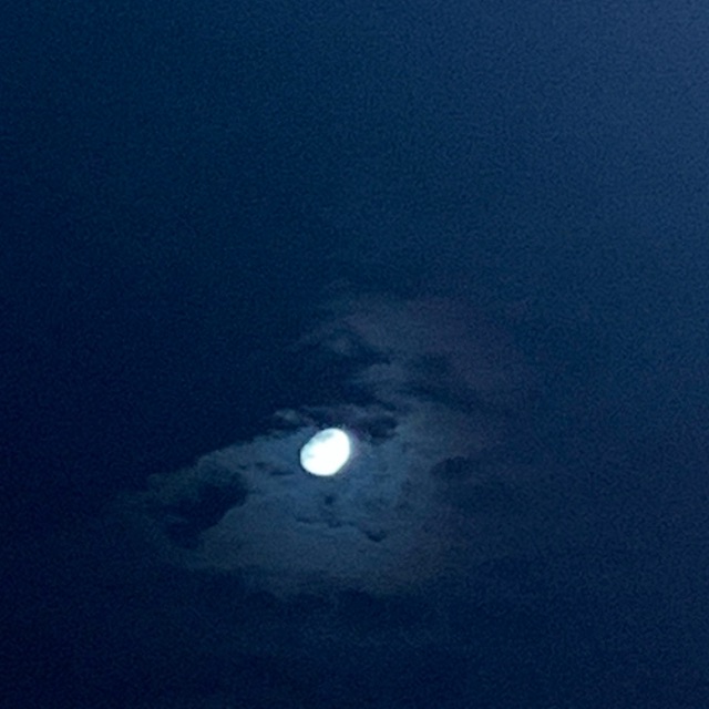 わこ(わーこ)のタイムライン2024-09-14 17:23:07投稿画像