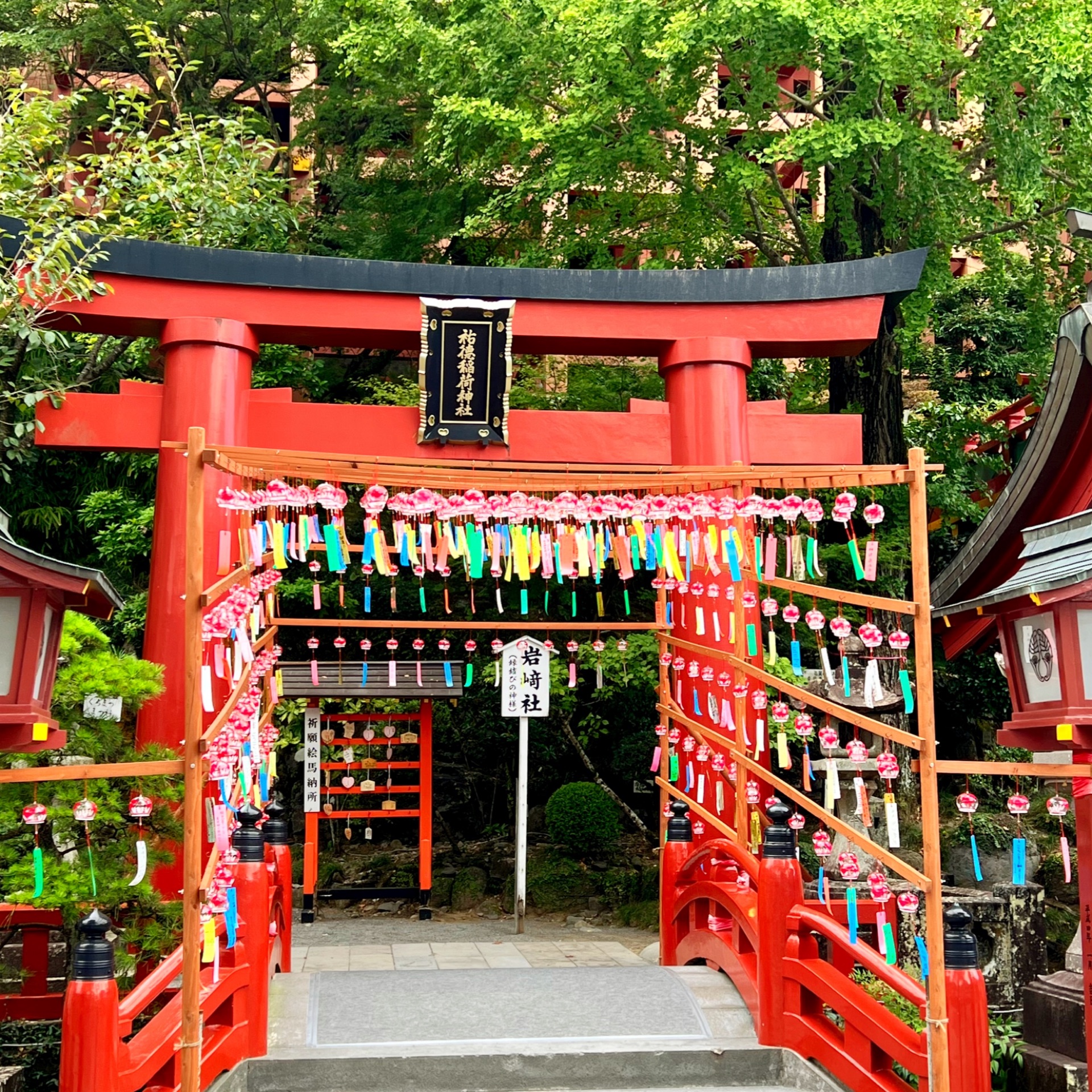 yukiのタイムライン2024-09-15 12:14:47投稿画像